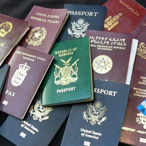 buy real and fake passport online 1